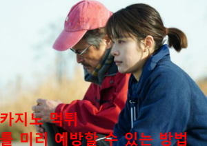 카지노 먹튀